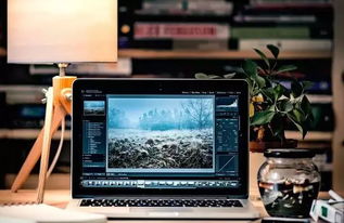 編程熱潮持續(xù) QS預(yù)測2020年計算機編程仍為前景最佳行業(yè)